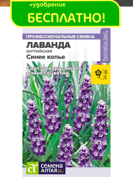 Лаванда Синее копье узколистная + подарок [Семена алтая] с доставкой