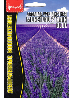 Лаванда Munstead strain blue узколистная [Семена редких растений]