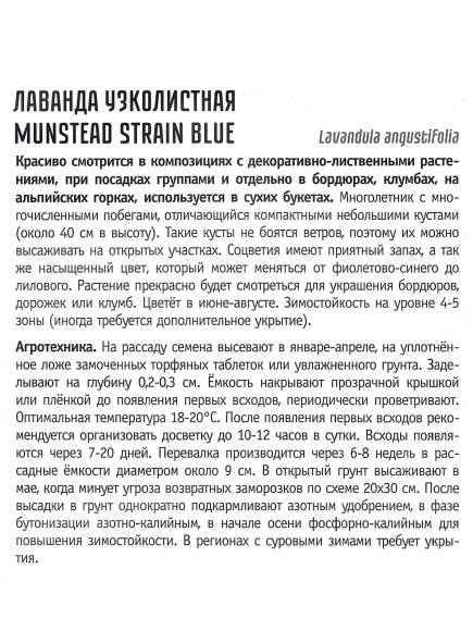 Лаванда Munstead strain blue узколистная [Семена редких растений] купить с доставкой