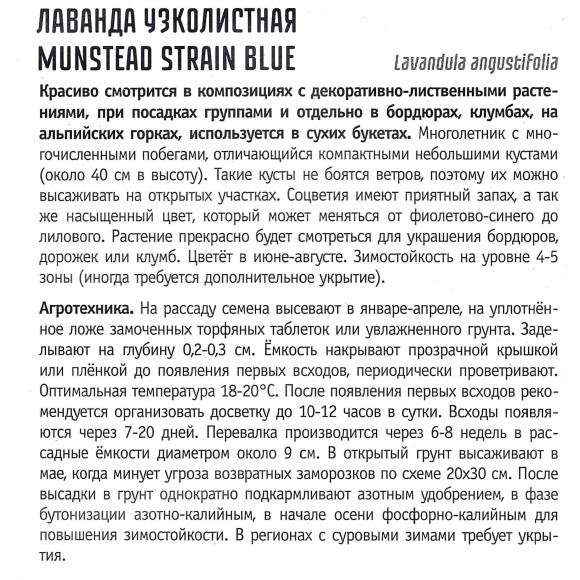 Лаванда Munstead strain blue узколистная [Семена редких растений] купить с доставкой
