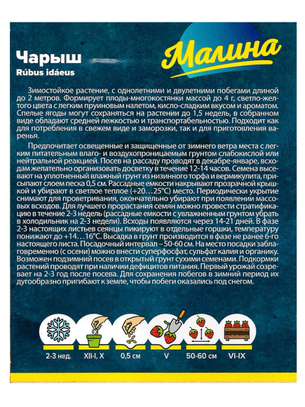 Малина Чарыш желтая [Семена алтая] купить с доставкой