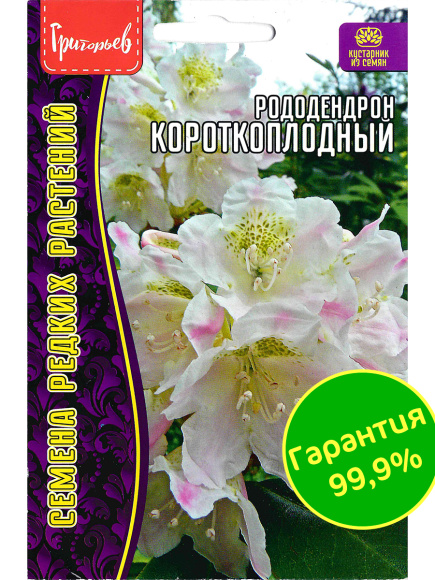 Рододендрон короткоплодный [Семена редких растений] купить с доставкой