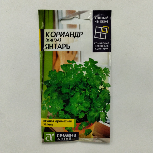 Кориандр Янтарь [Семена алтая] купить с доставкой