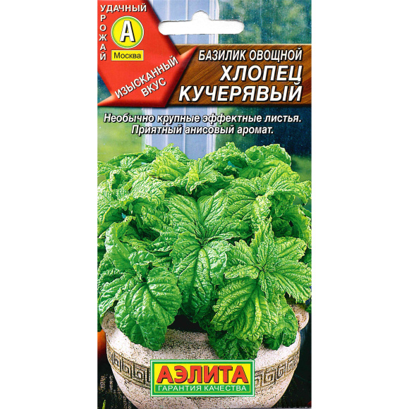 Базилик Хлопец кучерявый [Аэлита] купить с доставкой