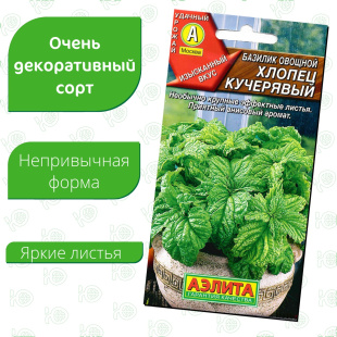 Базилик Хлопец кучерявый [Аэлита]