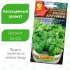 Базилик Хлопец кучерявый [Аэлита]