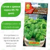 Базилик Хлопец кучерявый [Аэлита]