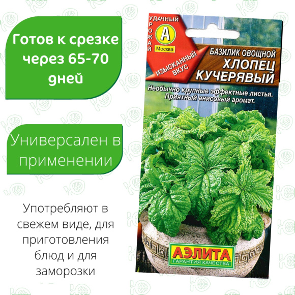 Базилик Хлопец кучерявый [Аэлита] купить с доставкой