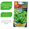 Базилик Хлопец кучерявый [Аэлита]