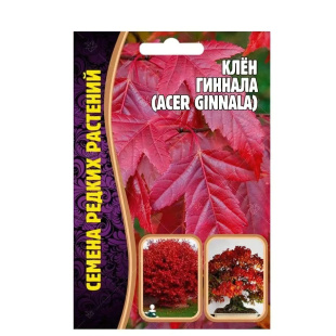 Клён Гиннала [Семена редких растений]