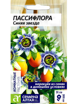 Пассифлора Синяя звезда [Семена алтая]