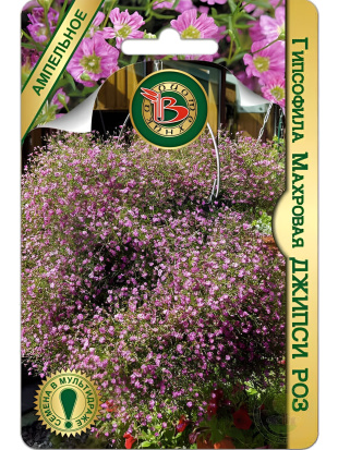 Гипсофила Джипси Роз [Биотехника]